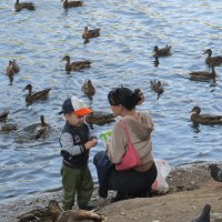 это любовь :: Елена Шаламова