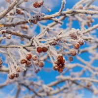 *   *   * :: Уже не важно 