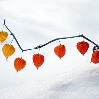 * * * :: Уже не важно * * * :: Уже не важно