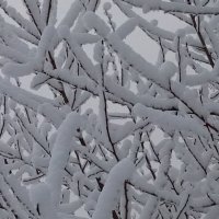 Зима :: Serega SchütZ