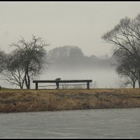 **** :: Aleksandr Gal **** :: Aleksandr Gal