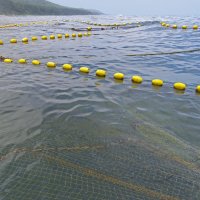 сети... :: ИРЭН@ . сети... :: ИРЭН@ .