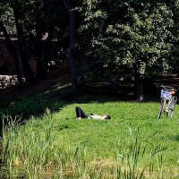 Последний взгляд на Венеру,,,) :: Анатолий Колосов