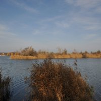 **** :: Виктор **** :: Виктор