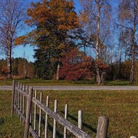 Штрихи октября .. :: Татьян@ Ивановна