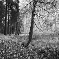 б/н :: Николай б/н :: Николай