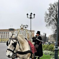 Карету заказывали? :: Ната57 Наталья Мамедова Карету заказывали? :: Ната57 Наталья Мамедова