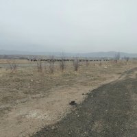 Talgar. :: Murat Bukaev 