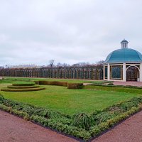 Декабрь в Верхнем саду. :: Лия ☼