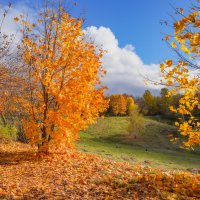 Октябрь в Царицыно... :: Владимир Жданов Октябрь в Царицыно... :: Владимир Жданов