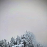 Декабрь :: Георгиевич Декабрь :: Георгиевич