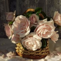 Нежное утро! :: Нина Андронова Нежное утро! :: Нина Андронова