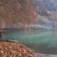 РИЦА. АБХАЗИЯ :: Tata Wolf