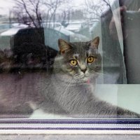 За окном :: Валерий Иванович За окном :: Валерий Иванович