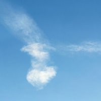 Небесная птичка :: Виктор Иванович Чернюк Небесная птичка :: Виктор Иванович Чернюк