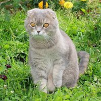 На охоте :: Галина Нестратова На охоте :: Галина Нестратова