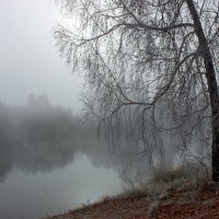 Туманный рассвет на реке Карасук :: Галина Нестратова