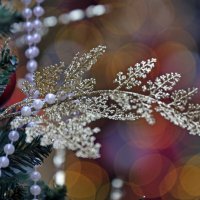 Новогодняя ярмарка 7 декабря :: Михаил Бибичков