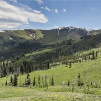 Йеллоустоун :: **** vedin