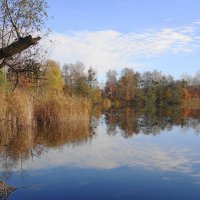 Ноябрьский пейзаж :: Рита Симонова Ноябрьский пейзаж :: Рита Симонова