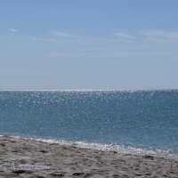 Природа Крыма :: Amazing Cosmea