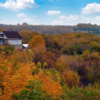 *   *   * :: Уже не важно 