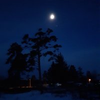 Новогоднее настроение :: Галина Минчук Новогоднее настроение :: Галина Минчук