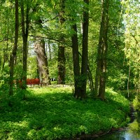 Кузьминский парк :: Игорь Белоногов Кузьминский парк :: Игорь Белоногов