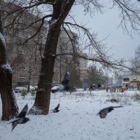 Зимний день во дворе :: Александр Синдерёв Зимний день во дворе :: Александр Синдерёв