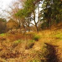 Тропинка :: Андрей Снегерёв Тропинка :: Андрей Снегерёв