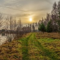 Во такая зима в Подмосковье 9 :: Андрей Дворников