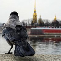 *** :: Виктория Поликарпова