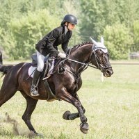 Конкур :: SanSan 