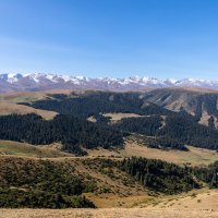Казахстан. Плато Ассы. :: Андрей Щукин Казахстан. Плато Ассы. :: Андрей Щукин