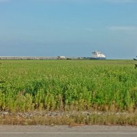 путешествие по Сахалину :: ИРЭН@ . путешествие по Сахалину :: ИРЭН@ .