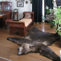 В музее :: Александр Ильчевский В музее :: Александр Ильчевский