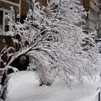 Зимой :: Елена Семигина Зимой :: Елена Семигина