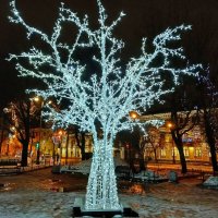 Новогоднее дерево. :: Лия ☼ Новогоднее дерево. :: Лия ☼