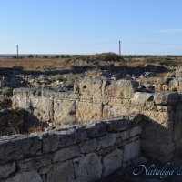 Природа Крыма :: Amazing Cosmea Природа Крыма :: Amazing Cosmea