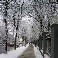 Первый снег :: Сергей Карачин Первый снег :: Сергей Карачин