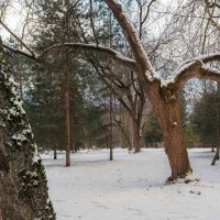 ***** :: юрий поляков ***** :: юрий поляков