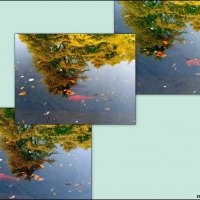 Адлер. Дендропарк "Южные культуры" :: Нина Бутко Адлер. Дендропарк "Южные культуры" :: Нина Бутко