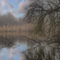 Утро. :: Александр. AVG100 ---