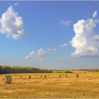 Знойный август :: Валентин Котляров Знойный август :: Валентин Котляров