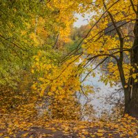 Осенний пруд... :: Владимир Жданов Осенний пруд... :: Владимир Жданов