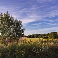 Лето . :: Александр Иванович Шитов