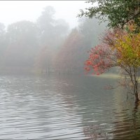 Утро :: **** vedin Утро :: **** vedin