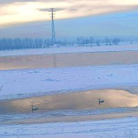 Лебедушки :: михаил Архангел