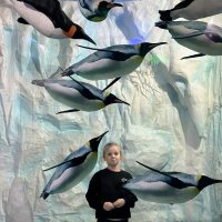 В кругу пингвинов :: Георгиевич В кругу пингвинов :: Георгиевич