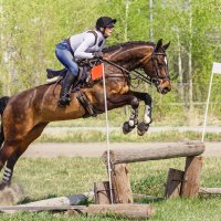 Кросс :: SanSan 